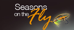 Seasons On The Fly