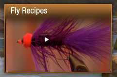 Fly Recipes